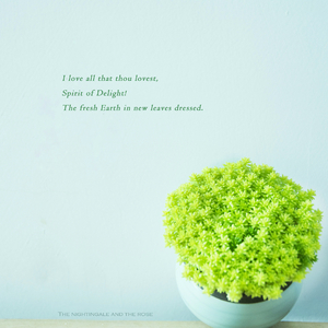 妮可裸乳被爆❌白浆的图片
